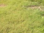 Land four sale gothatuwa