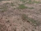 LAND FOUR SALE GOTHATUWA