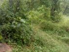 Land four sale Hibutana