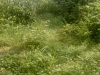 LAND FOUR SALE KELANIYA