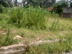 LAND FOUR SALE WALIWITA