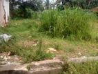 Land four sale waliwita