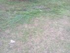 Land four sale wallampitiya