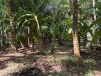 Land for Sale Gampaha