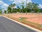 Land Fro Sale In Gampaha Town