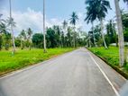 Land Fro sale In Kandana