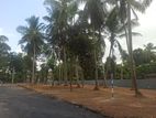Land Fro Sale in yakkala town