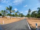 Land Fro Sale Kandana