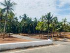Land Fro Sale Kandana