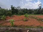 Land Fro Sale Veyangoda