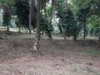 Land (Fruits) for Sale in Homagama