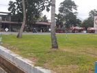 Land ඉබ්බාගමුවෙන් ව්‍යාපාරික බිම් කොටස්