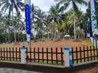 Land ideal for Business in Nittambuwa City Limit Y 138