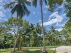 Land in 982 Bus Route Dewalapola