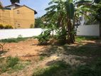 Land in a Prime Residential Neighborhood - Pita Kotte