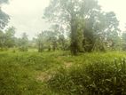 Land in Aluvihare Close to Main Road