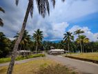 Land in Balangoda