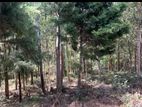 Land in Bandarawela
