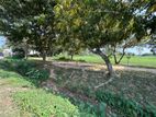 Land in Boralesgamuwa Facing Bellanwila Lake View & Adjoining Jogging