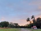 Land in Dambulla, Facing Kandalama road (Bakamuna road)