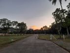 Land in Dambulla, Facing Kandalama Road