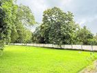 Land in Dambulla Town