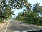 Land in Dehiowita - Facing Awissawella Katunayake Main Rd