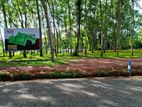 Land in Diulapitiya