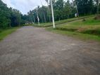 Land in Diulapitiya - walihinda