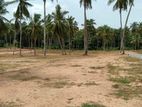 Land In Divulapitiya
