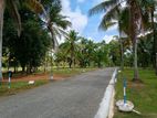 Land In Divulapitiya