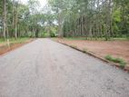 Land in Divulapitiya