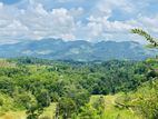 Land In Doluwa