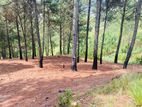 land in ella