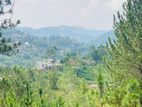 Land in Ella Sale