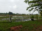 Land in Facing Jaffna road,Saliyapura