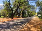 Land in Facing Nuwara wewa lake,Anuradhapura