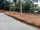Land in ගාල්ල - මාපලගම ප්‍රධාන පාරට සමීපව