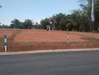 Land In Gampaha City