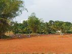 Land in Gampaha Facin Colambo Road