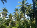 Land in Gampaha for Sale