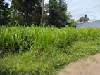 Land in Gampaha Miriswaththa Plot 01