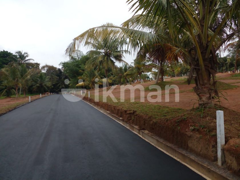 Land in Gampaha Town ikman