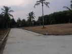 Land in Ganemulla Plot 01