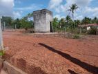 Land in Ganemulla Plot 01