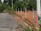 Land in Ganemulla Plot 04