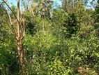 Land in Gangoda Pilimathalawa