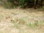 Land in Gurudeniya Ampitiya Road (Close to Apollo international School)