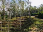 Land in Habaraduwa