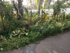 Land in Hikkaduwa